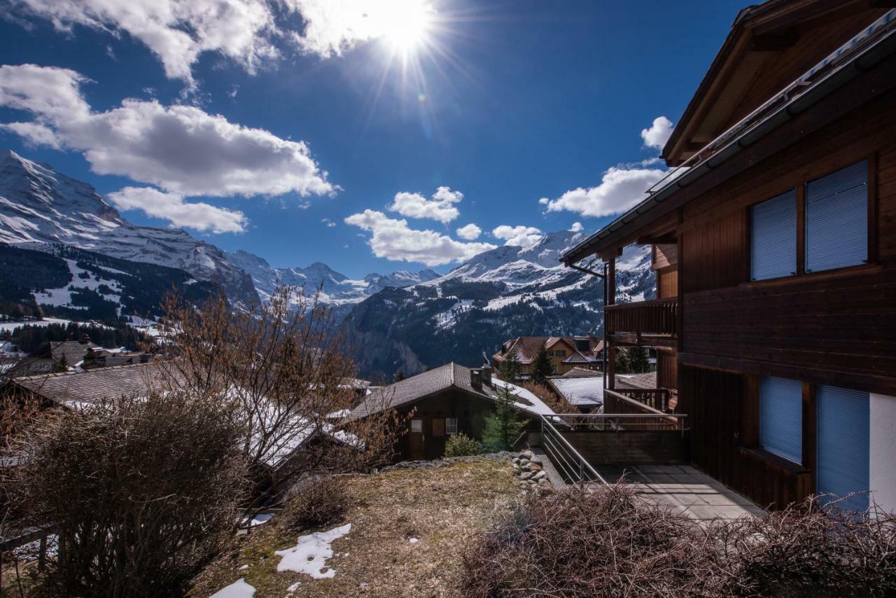 Alpenrebe Apartment