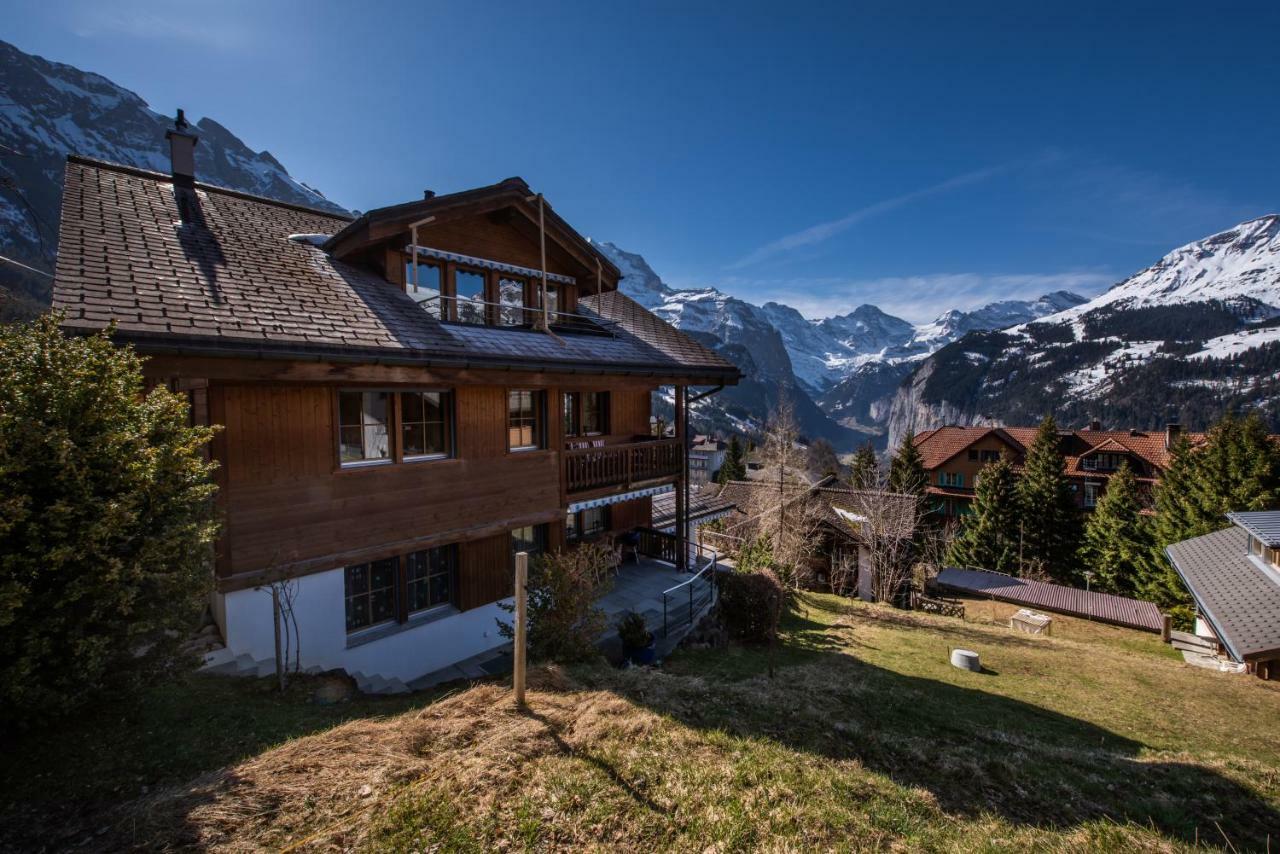 Alpenrebe * Wengen