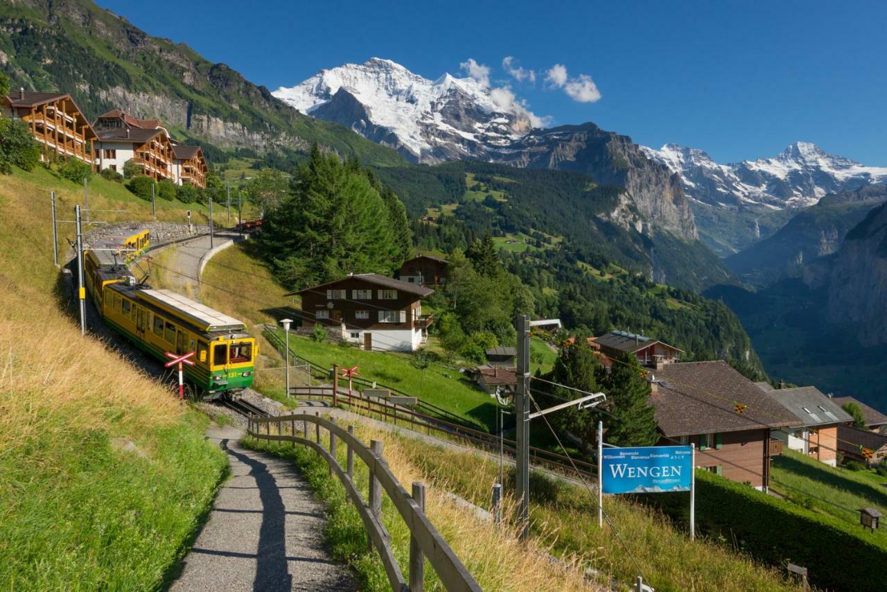 Alpenrebe *